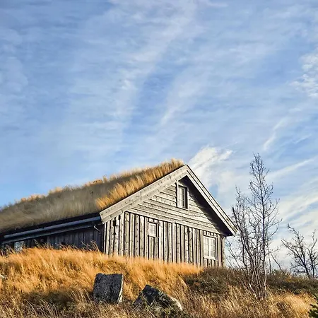 Feriehus Stunning In Torpo With Wifi Opheim